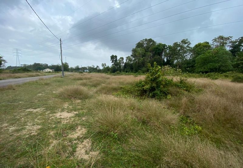 Lo Tanah Pertanian Permatang Pasir Pekan (Untuk Dijual)