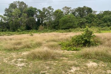 Lo Tanah Pertanian Permatang Pasir Pekan (Untuk Dijual)