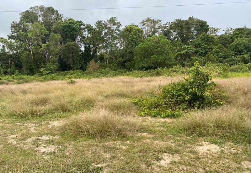 Lo Tanah Pertanian Permatang Pasir Pekan (Untuk Dijual)