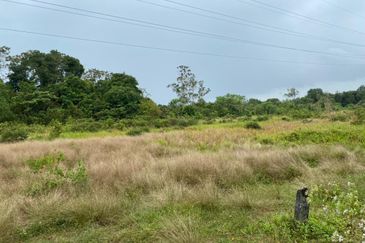 Lo Tanah Pertanian Permatang Pasir Pekan (Untuk Dijual)