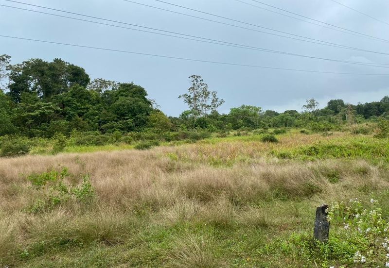 Lo Tanah Pertanian Permatang Pasir Pekan (Untuk Dijual)