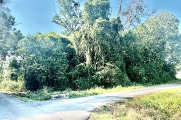 Tanah Lot Banglo Pulau Serai Pekan (Untuk Dijual)