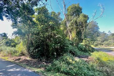 Tanah Lot Banglo Pulau Serai Pekan (Untuk Dijual)