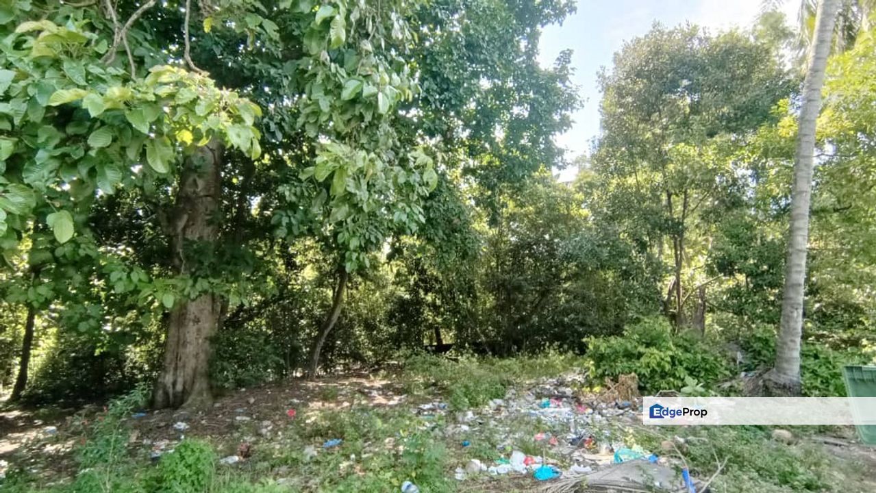 Lot Tanah Meraga Beris Kijal (Untuk Dijual), Terengganu, Kijal