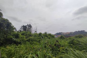 Lot Tanah Pertanian Kampung Balok Perdana Kuantan (Untuk Dijua)