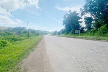 Lot Tanah Pertanian Kampung Balok Perdana Kuantan (Untuk Dijua)