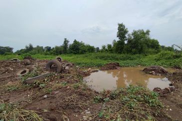 Lot Tanah Pertanian Kampung Balok Perdana Kuantan (Untuk Dijua)