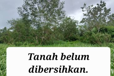 Lot Tanah Banglo Pulau Serai Pekan (Untuk Dijual)