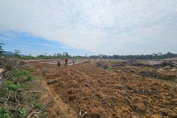 Lot Tanah Pertanian Kampung Batu Sawar Kuantan (Untuk Dijual)