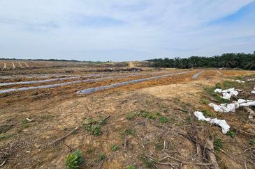 Lot Tanah Pertanian Kampung Batu Sawar Kuantan (Untuk Dijual)