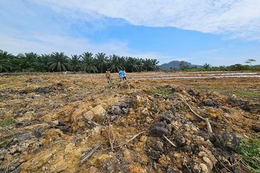 Lot Tanah Pertanian Kampung Batu Sawar Kuantan (Untuk Dijual)