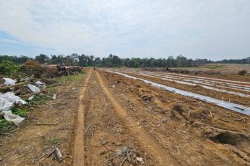 Lot Tanah Pertanian Kampung Batu Sawar Kuantan (Untuk Dijual)