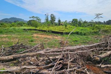 Lot Tanah Pertanian Kampung Batu Sawar Kuantan (Untuk Dijual)