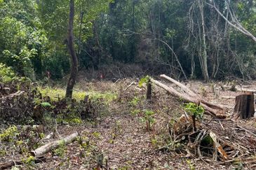 Lot Tanah Bangunan Pulau Serai Pekan (Untuk Dijual)