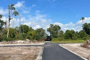 Lot Tanah Bangunan Pulau Serai Pekan (Untuk Dijual)