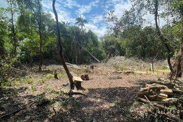 Lot Tanah Bangunan Pulau Serai Pekan (Untuk Dijual)