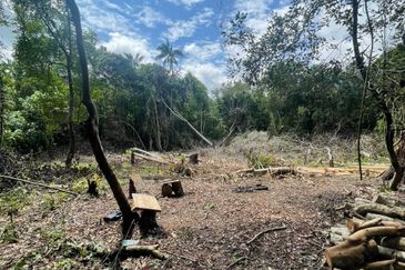 Lot Tanah Bangunan Pulau Serai Pekan (Untuk Dijual)