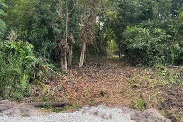 Lot Tanah Bangunan Pulau Serai Pekan (Untuk Dijual)