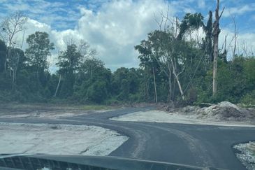 Lot Tanah Bangunan Pulau Serai Pekan (Untuk Dijual)