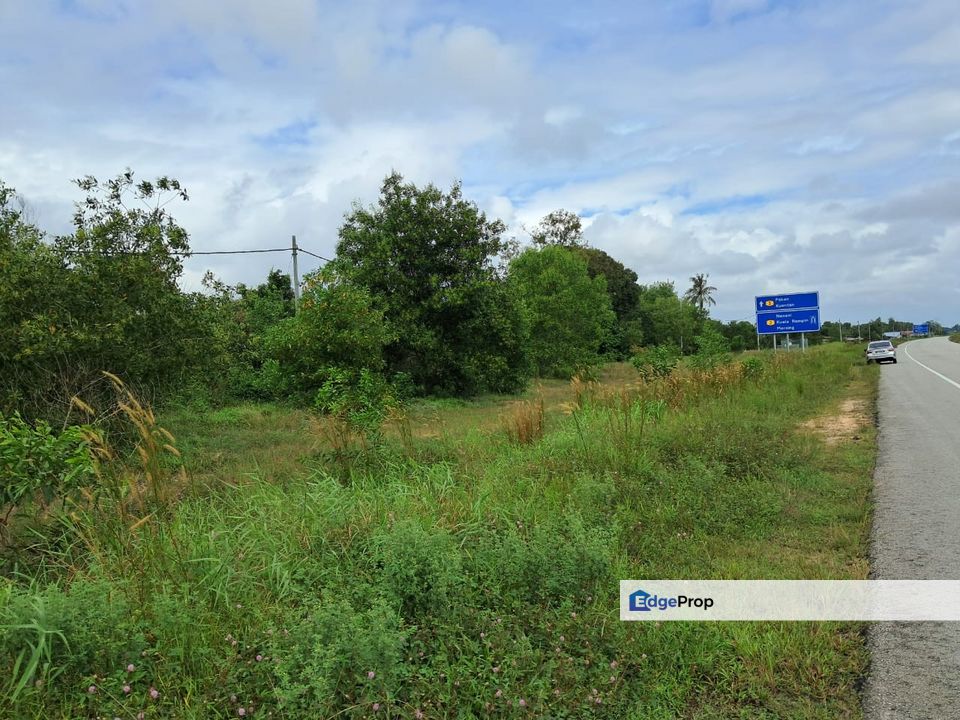 Tanah Lot Pertanian Nenasi, Pekan, Pahang Untuk Dijual, Pahang, Kuantan