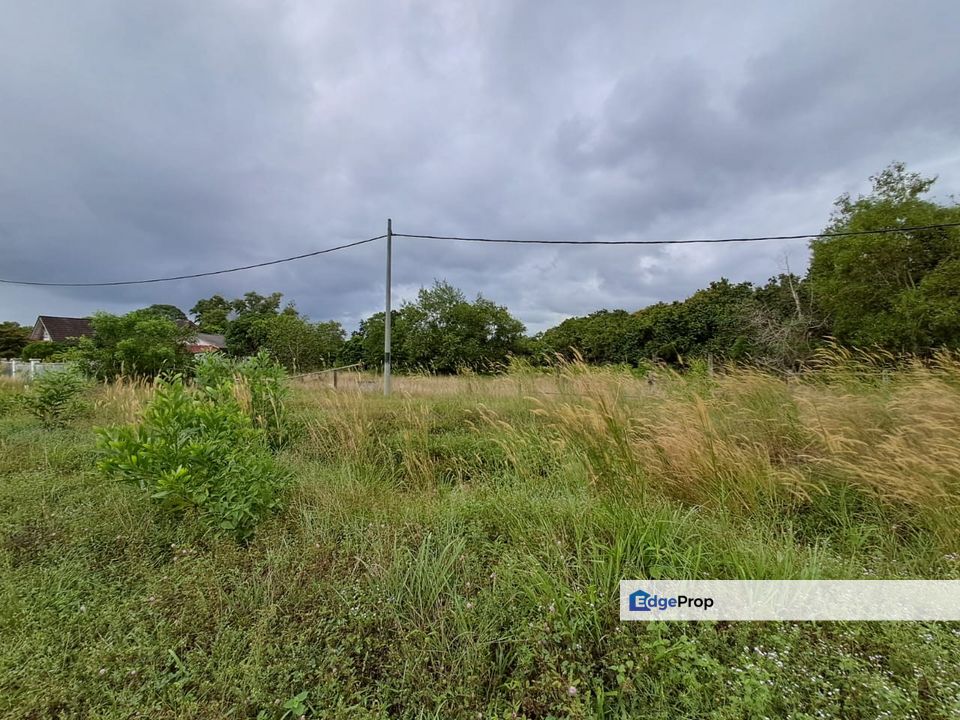 Tanah Lot Pertanian Nenasi, Pekan, Pahang Untuk Dijual, Pahang, Kuantan