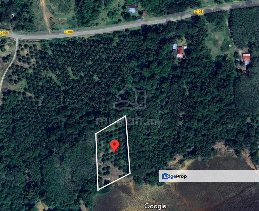 CHENOR TANAH KEBUN SAWIT DI KG PESAGI, CHENOR UNTUK DIJUAL, Pahang, Chenor