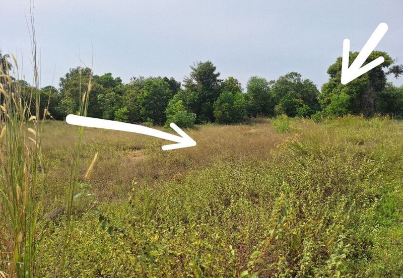 Sutra Residensi Pekan