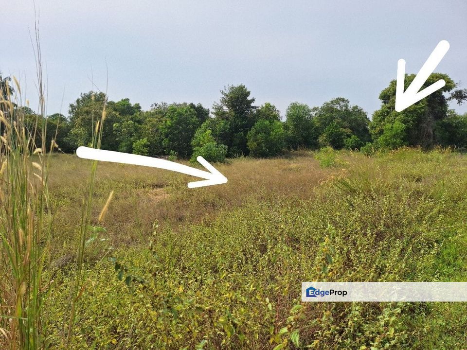 TANAH LOT BANGUNAN KUALA KUANTAN PEKAN, PAHANG 𝐔𝐍𝐓𝐔𝐊 𝐃𝐈𝐉𝐔𝐀𝐋, Pahang, Pekan