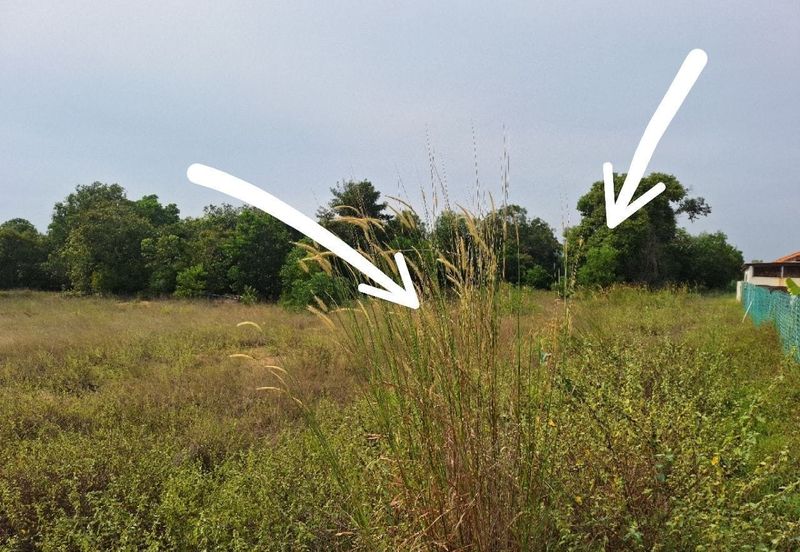 Sutra Residensi Pekan