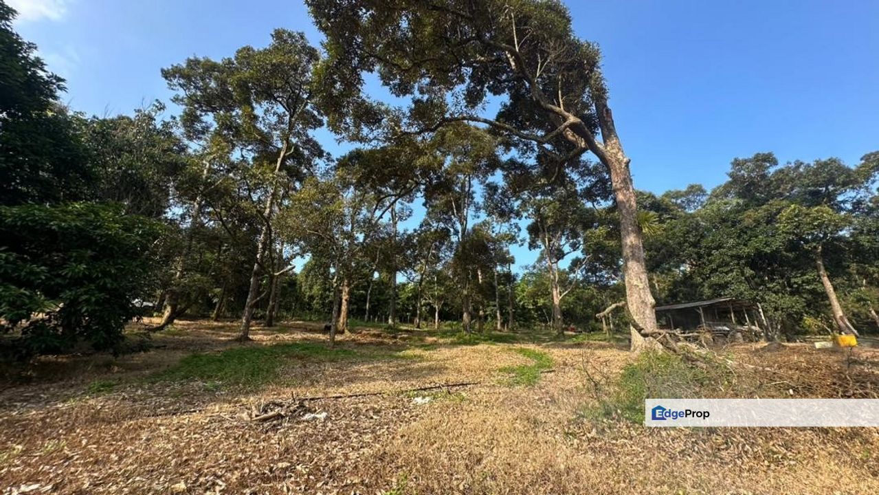 FREEHOLD OPEN TITLE 𝐓𝐀𝐍𝐀𝐇 𝐃𝐔𝐒𝐔𝐍 𝐃𝐔𝐑𝐈𝐀𝐍 𝐇𝐈𝐉𝐀𝐔 𝐁𝐄𝐒𝐄𝐑𝐀𝐇 𝐊𝐔𝐀𝐍𝐓𝐀𝐍 𝐔𝐍𝐓𝐔𝐊 𝐃𝐈𝐉𝐔𝐀𝐋 , Pahang, Kuantan