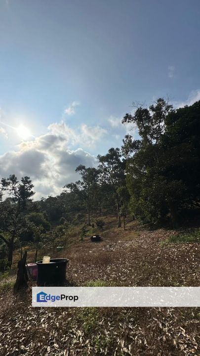 FREEHOLD OPEN TITLE 𝐓𝐀𝐍𝐀𝐇 𝐃𝐔𝐒𝐔𝐍 𝐃𝐔𝐑𝐈𝐀𝐍 𝐇𝐈𝐉𝐀𝐔 𝐁𝐄𝐒𝐄𝐑𝐀𝐇 𝐊𝐔𝐀𝐍𝐓𝐀𝐍 𝐔𝐍𝐓𝐔𝐊 𝐃𝐈𝐉𝐔𝐀𝐋 , Pahang, Kuantan