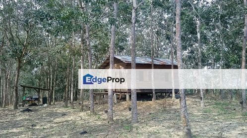  6 EKAR TANAH PERTANIAN POKOK GETAH KG IBOK KEMAMAN UNTUK DIJUAL, Terengganu, Cukai