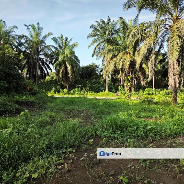 Lot Banglo dekat Perumahan Padang Indah (Jalan ke Bukit Goh) (sebelah KOTASAS), Pahang, Kuantan