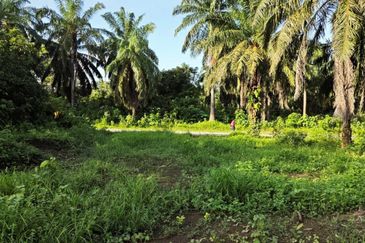 PERUMAHAN KAMPUNG PADANG INDAH