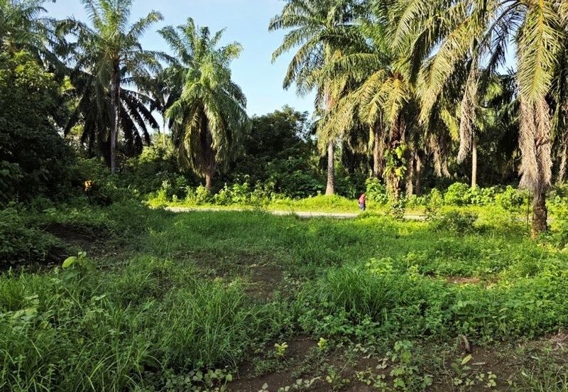 PERUMAHAN KAMPUNG PADANG INDAH*