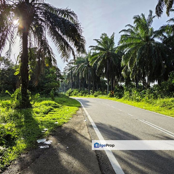 Lot Banglo dekat Perumahan Padang Indah (Jalan ke Bukit Goh) (sebelah KOTASAS), Pahang, Kuantan