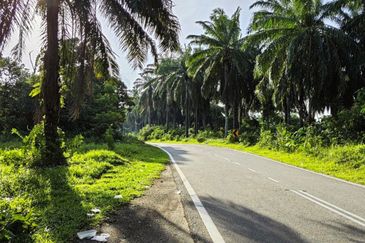 PERUMAHAN KAMPUNG PADANG INDAH