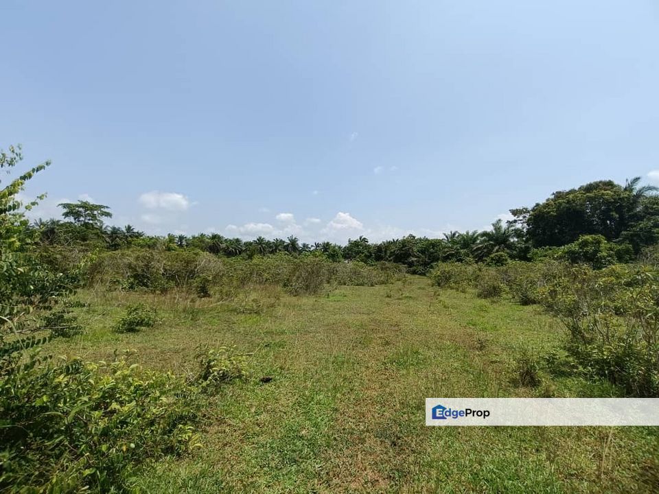 3 LOT BANGLO DI KAMPUNG PELAM, TELEMONG, HULU TERENGGANU UNTUK DIJUAL, Terengganu, Hulu Terengganu