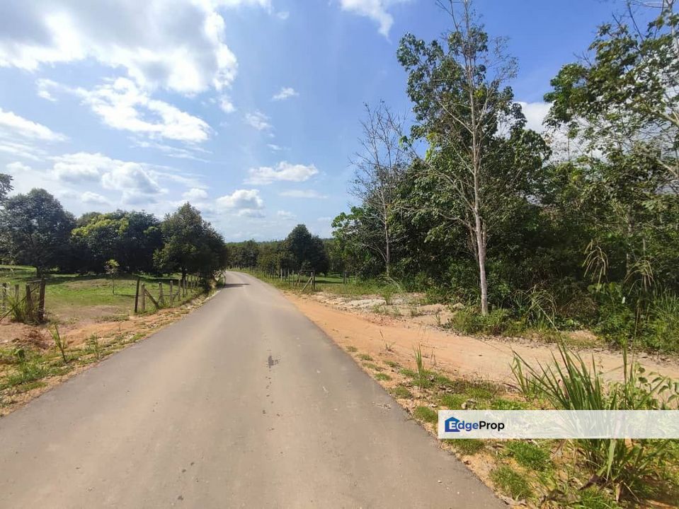 𝐓𝐀𝐍𝐀𝐇 𝐏𝐄𝐑𝐓𝐀𝐍𝐈𝐀𝐍 𝟐 𝐄𝐊𝐀𝐑 𝐃𝐈 𝐓𝐄𝐋𝐔𝐊 𝐒𝐄𝐍𝐓𝐀𝐍𝐆 𝐓𝐄𝐌𝐄𝐑𝐋𝐎𝐇 𝐏𝐀𝐇𝐀𝐍𝐆 UNTUK DIJUAL, Pahang, Temerloh