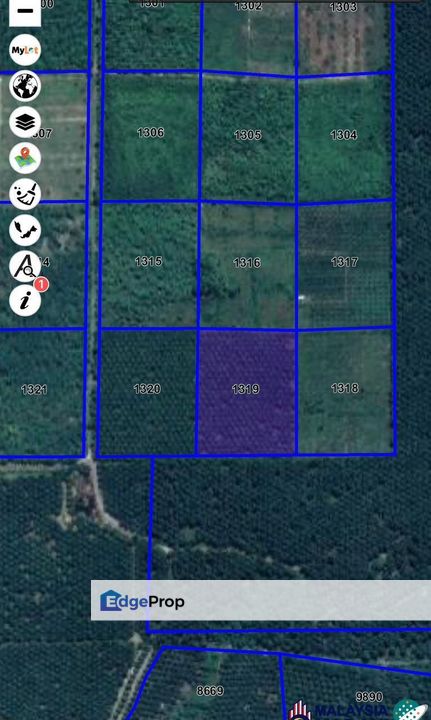 2.562 HEKTAR KEBUN SAWIT - MUKIM PENYOR PAHANG UNTUK DIJUAL, Pahang, Pekan