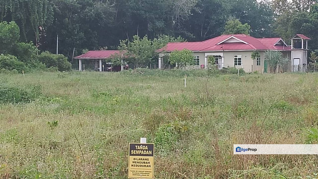 𝗧𝗔𝗡𝗔𝗛 𝗟𝗢𝗧 𝗕𝗔𝗡𝗚𝗟𝗢 𝗞𝗔𝗠𝗣𝗨𝗡𝗚 𝗞𝗘𝗧𝗔𝗣𝗔𝗡𝗚 𝗧𝗘𝗡𝗚𝗔𝗛, 𝗣𝗘𝗞𝗔𝗡, Pahang, Pekan