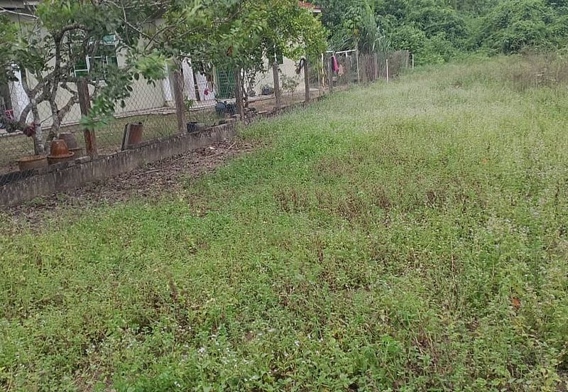 TAMAN KETAPANG MUALIM