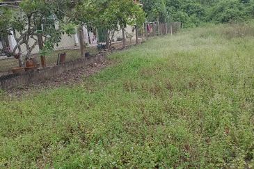 TAMAN KETAPANG MUALIM