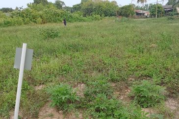 TAMAN KETAPANG MUALIM