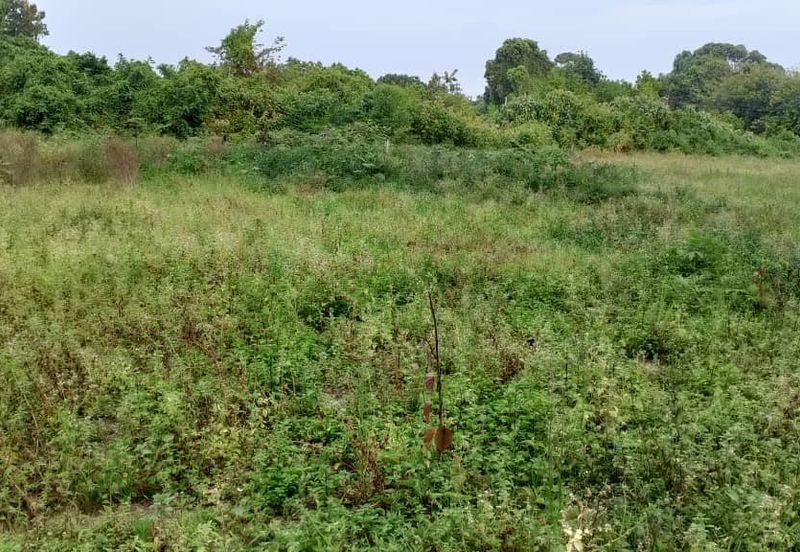 TAMAN KETAPANG MUALIM