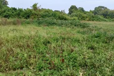 TAMAN KETAPANG MUALIM