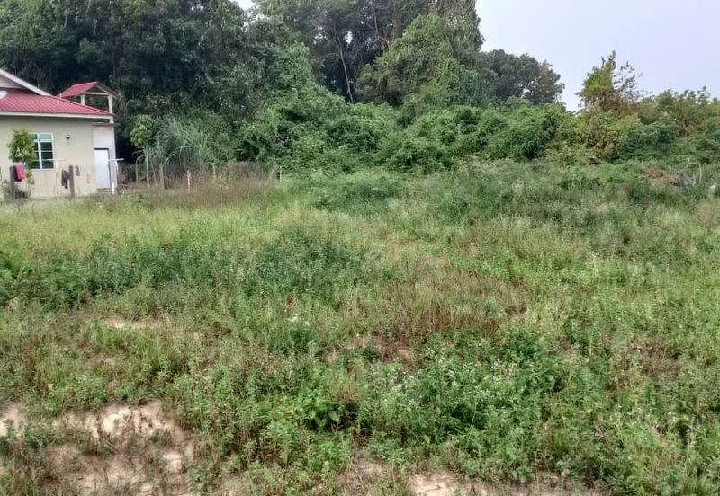 TAMAN KETAPANG MUALIM