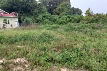 TAMAN KETAPANG MUALIM