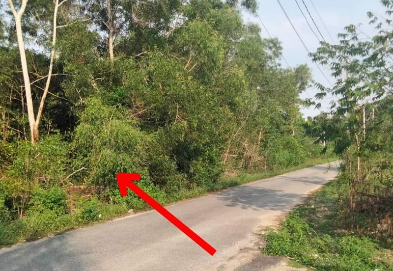 𝐓𝐀𝐍𝐀𝐇 𝐁𝐄𝐑𝐒𝐓𝐀𝐓𝐔𝐒 𝐁𝐀𝐍𝐆𝐔𝐍𝐀𝐍 𝐓𝐎𝐊 𝐉𝐄𝐌𝐁𝐀𝐋, 𝐊𝐔𝐀𝐋𝐀 𝐍𝐄𝐑𝐔𝐒 𝐓𝐄𝐑𝐄𝐍𝐆𝐆𝐀𝐍𝐔