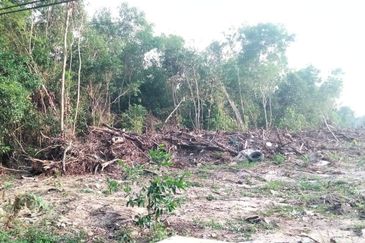 𝐓𝐀𝐍𝐀𝐇 𝐁𝐄𝐑𝐒𝐓𝐀𝐓𝐔𝐒 𝐁𝐀𝐍𝐆𝐔𝐍𝐀𝐍 𝐓𝐎𝐊 𝐉𝐄𝐌𝐁𝐀𝐋, 𝐊𝐔𝐀𝐋𝐀 𝐍𝐄𝐑𝐔𝐒 𝐓𝐄𝐑𝐄𝐍𝐆𝐆𝐀𝐍𝐔